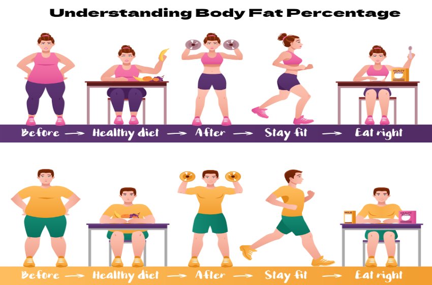  Understanding Body Fat Percentage: What You Need to Know